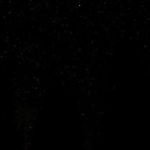 Meet your Posher, Imanelaura